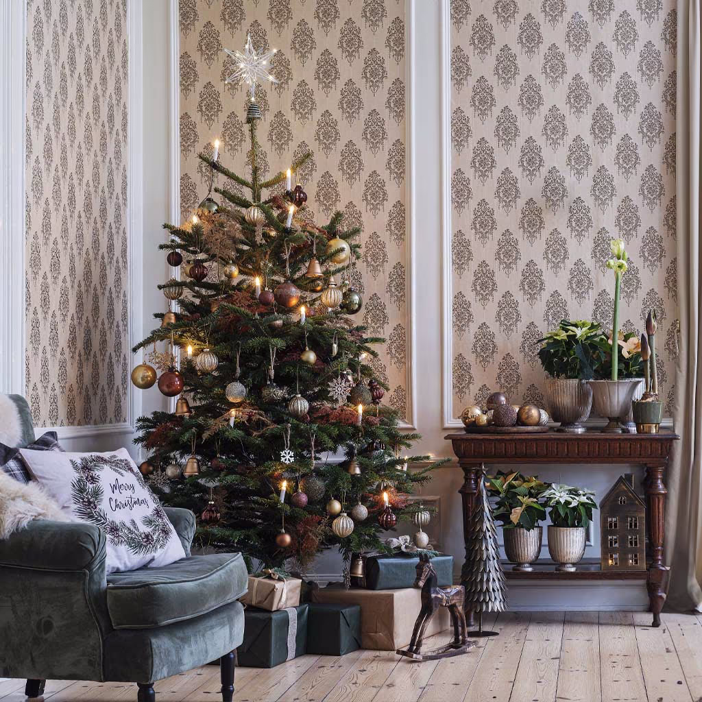 How to Care for Your Christmas Tree – Tips and Advice