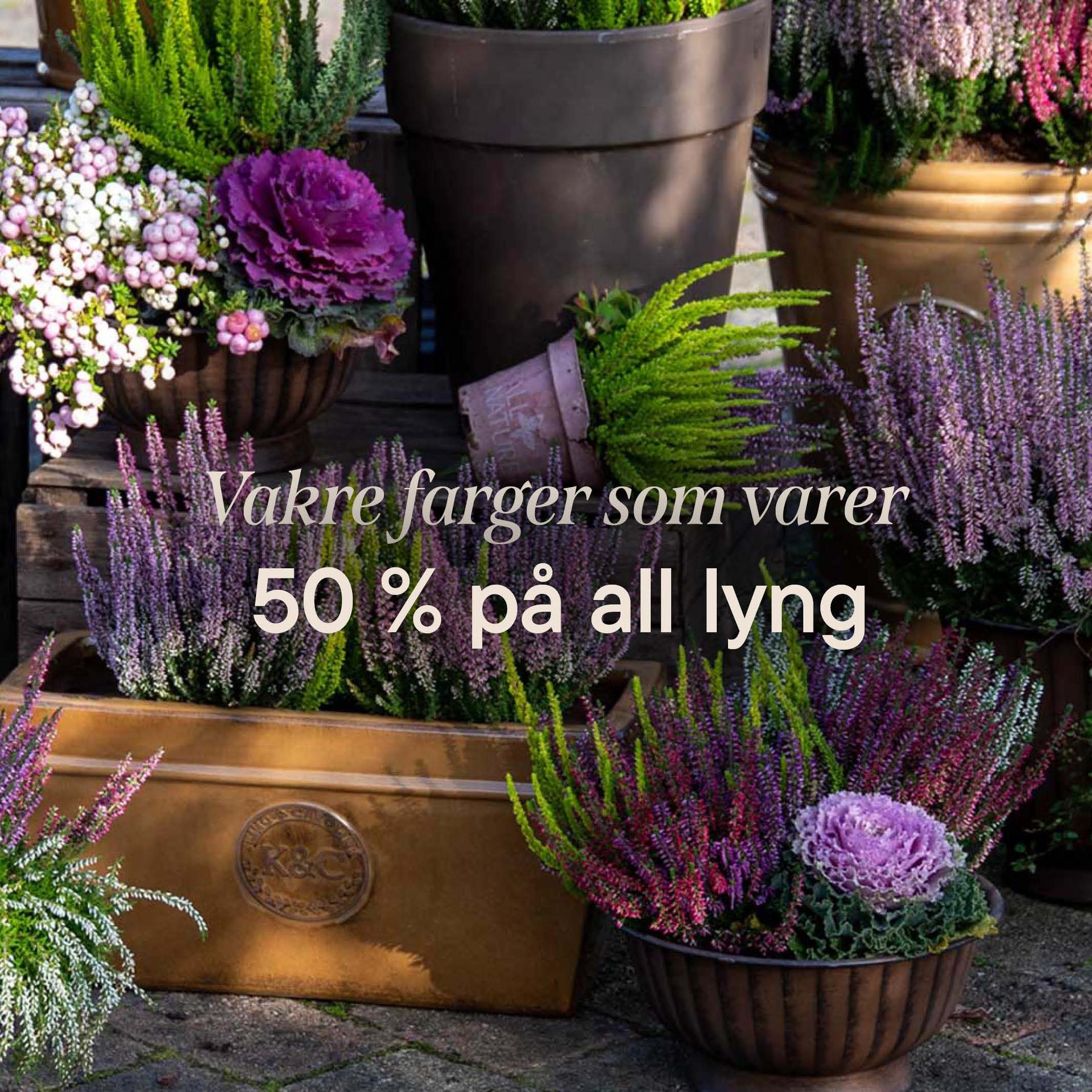 Up to 40% off all perennials in returnable pots