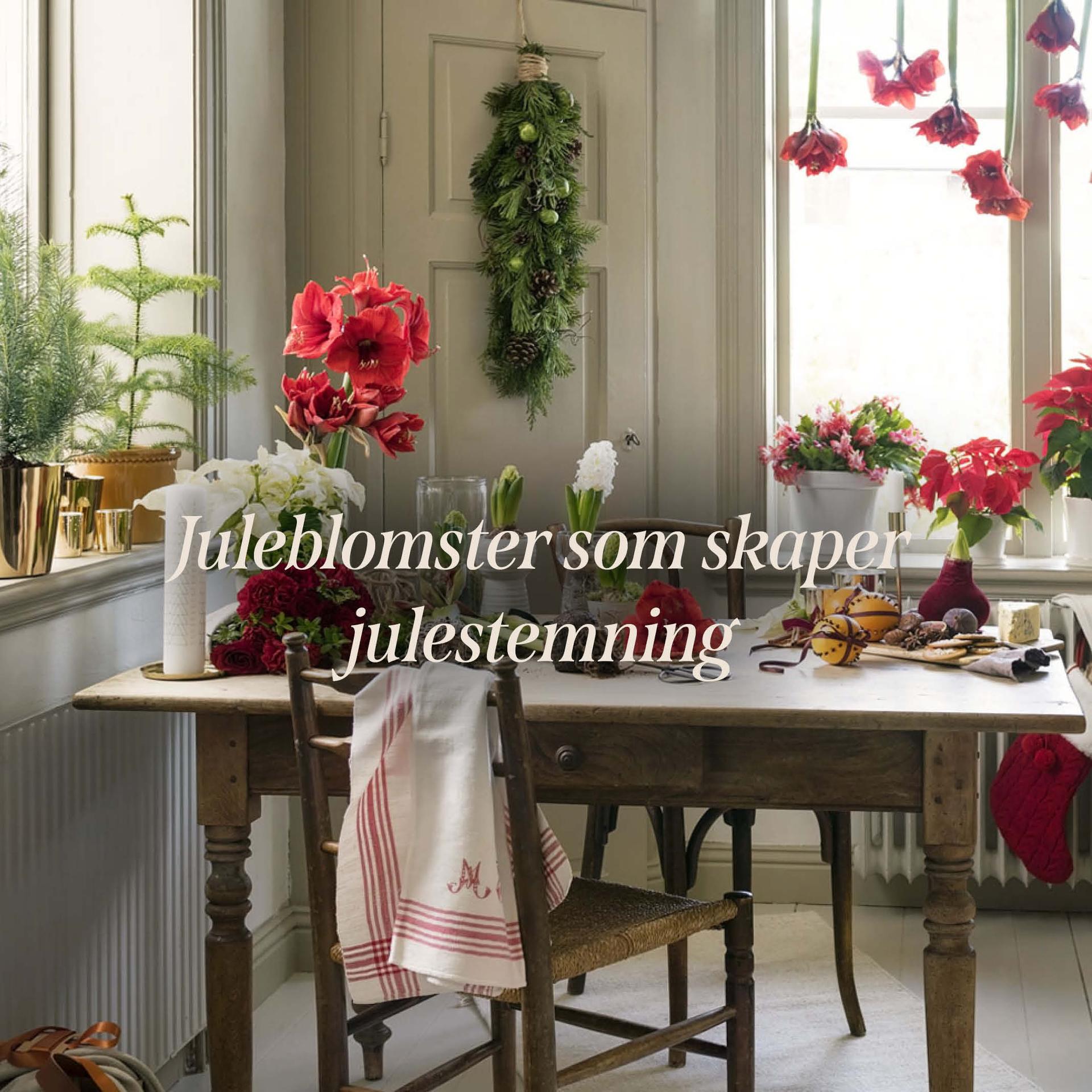 Garden furniture – up to 40% off!