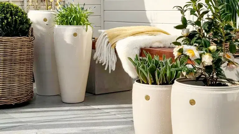 How to make your own potted garden
