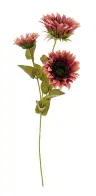 Sunflower stem Artificial