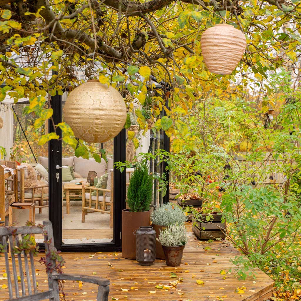 Autumn in Tanja's sustainable garden at Ekeberg in Oslo