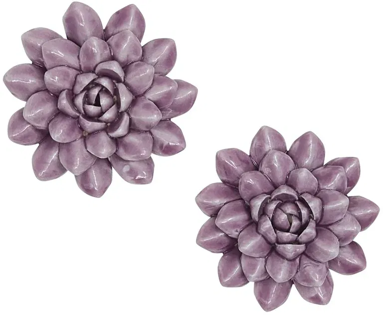 Decorationflowers Blossoms 