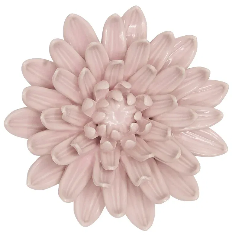 Decoration flower Blossoms 