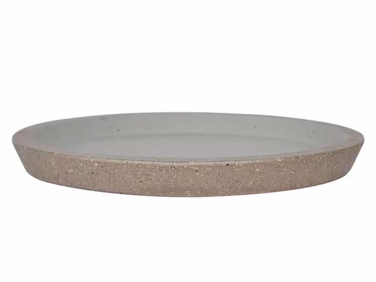 Saucer Joel