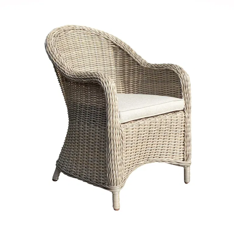 Dining Chair Saltnes