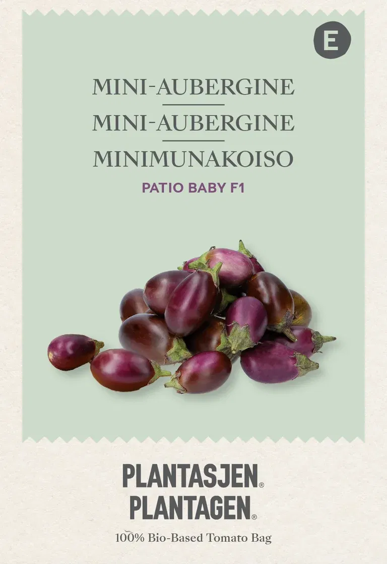 Mini-Aubergine Patio Baby F1 - 8 sds