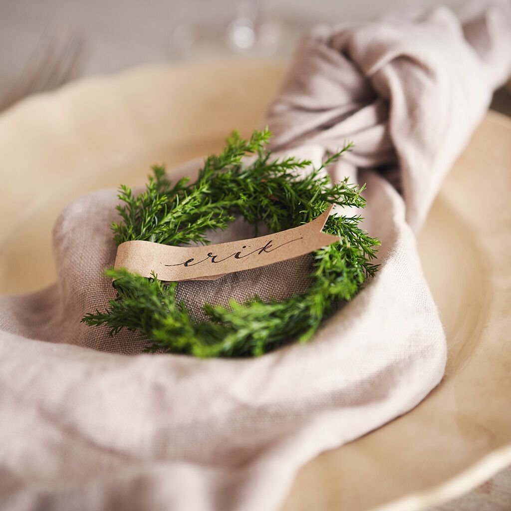 Image of Poinsettias