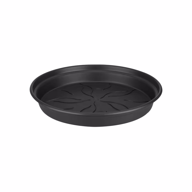 Green basics saucer D25 black