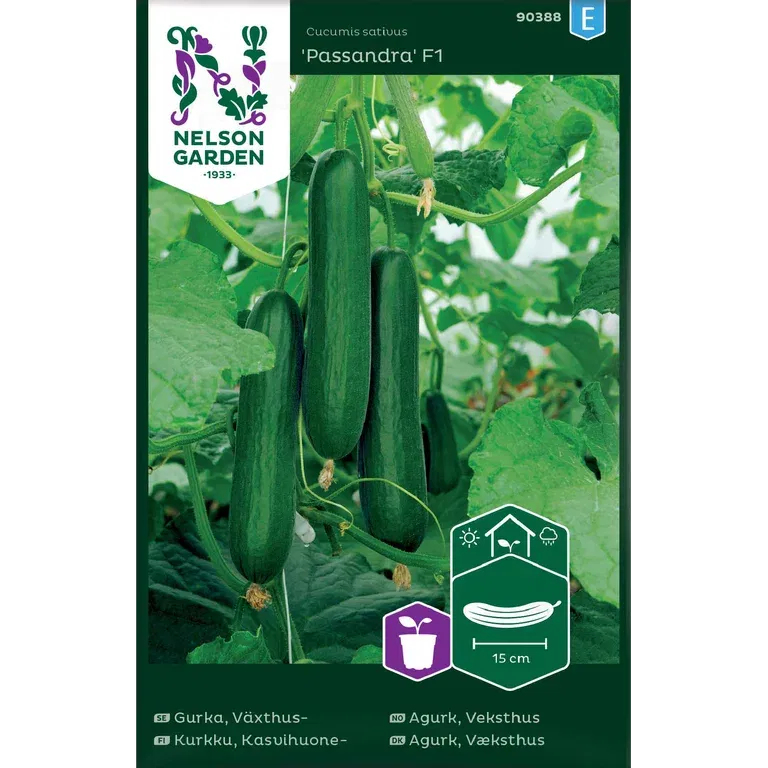 Gurka, Växthus-, Passandra F1