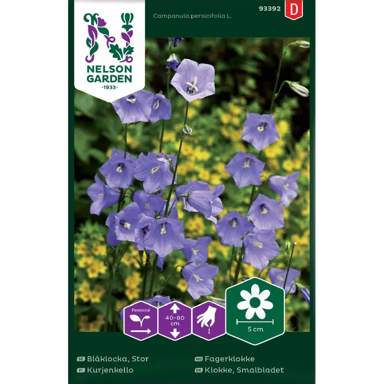 Blåklocka, Stor