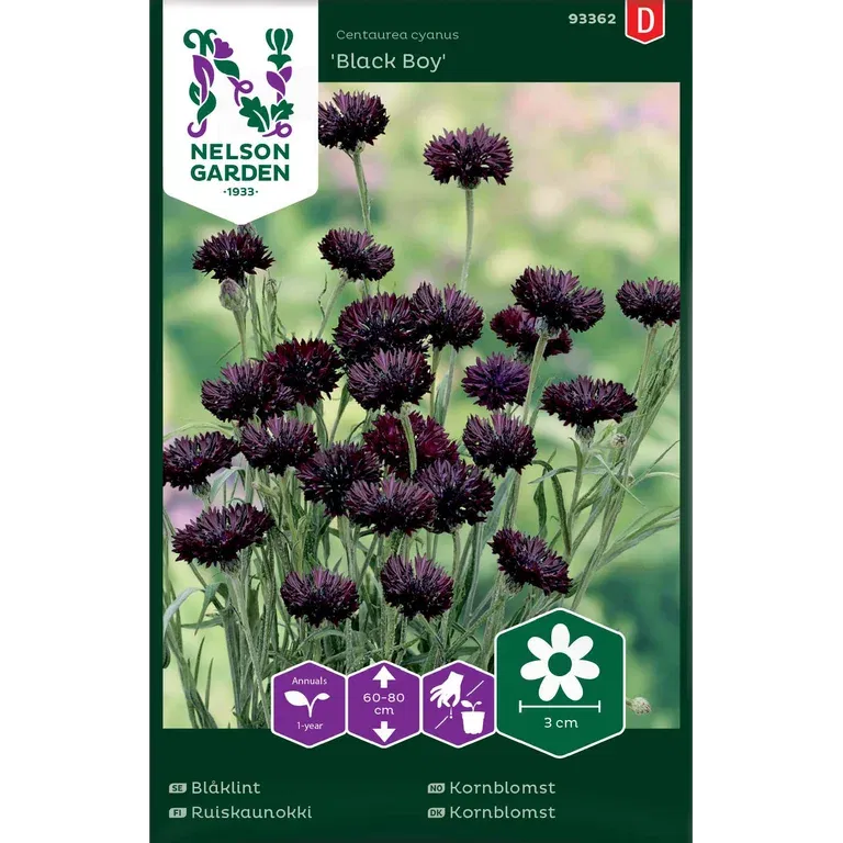 Blåklint, Black Boy, svart