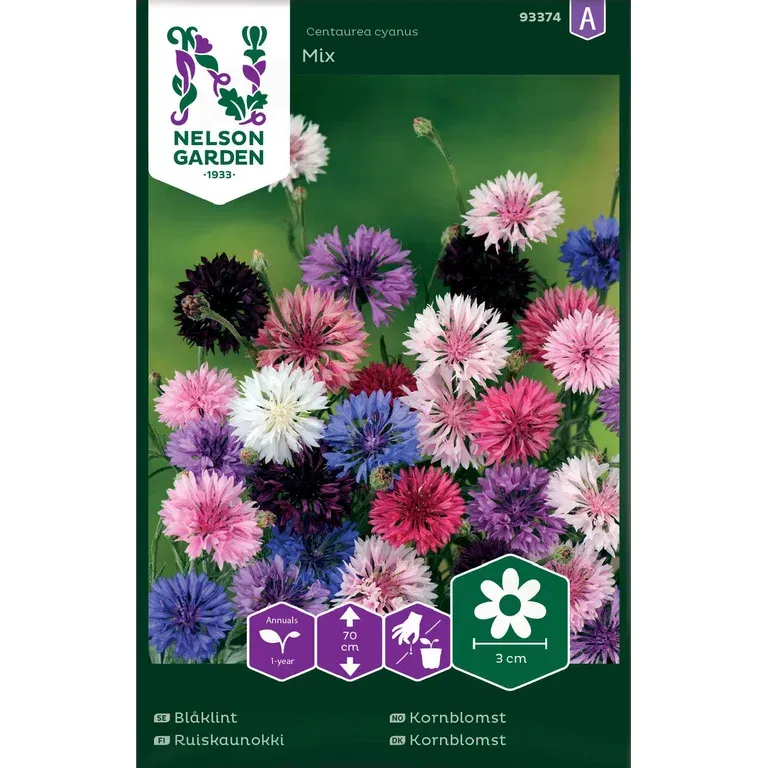 Blåklint, hög, bl färger