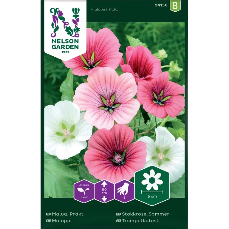 Malva, Prakt-, bl färger