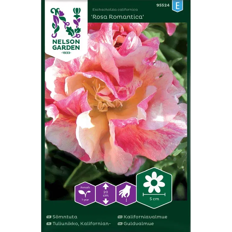 Sömntuta, Rosa Romantica