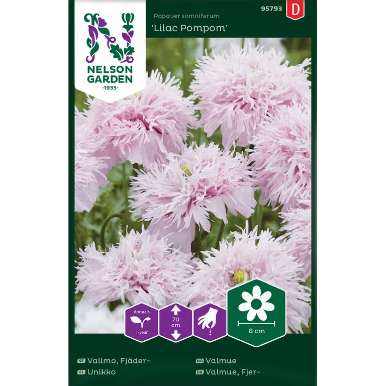 Vallmo, Fjäder-, Lilac Pompom