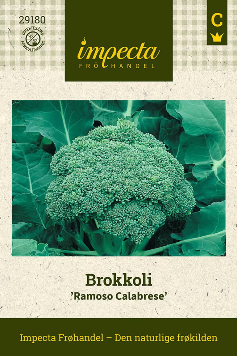 Brassica oleracea 'Ramoso Calabrese'