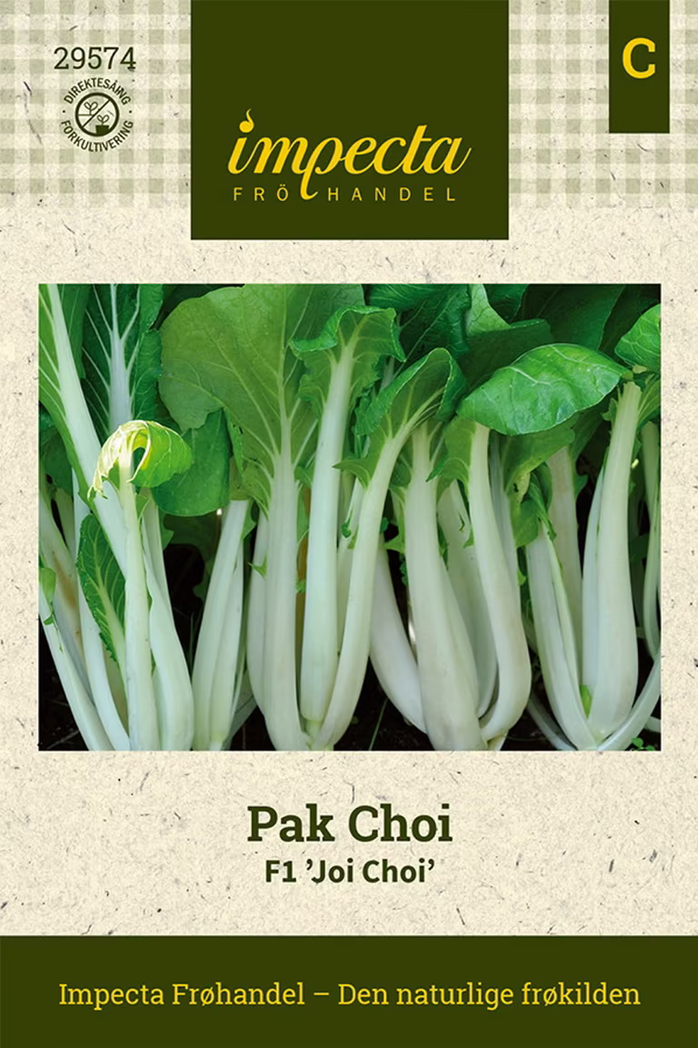 Brassica rapa F1 'Joi Choi'