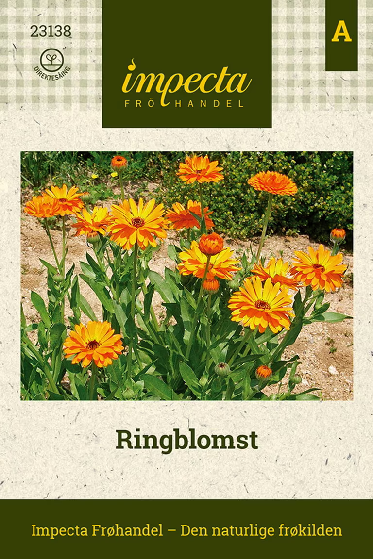 Calendula officinalis