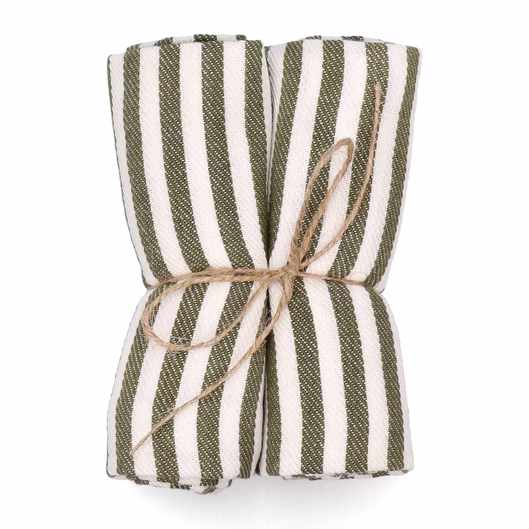 Line napkin 2pk 40x40 green