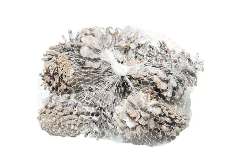 Pinecone 15pc white