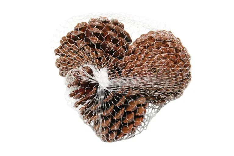 Pinecone Maritima 10-12 3pc natural