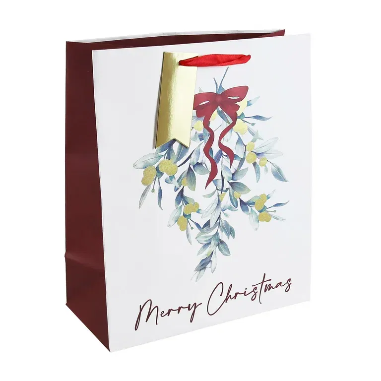 Misteltoe gift bag H33 multi