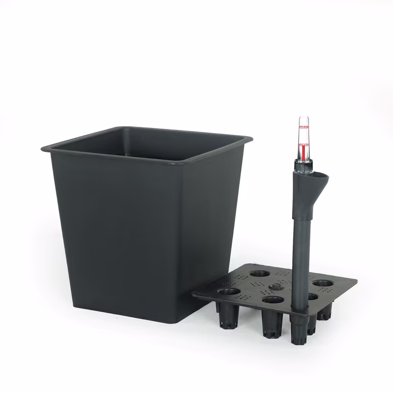 Kinsley Insert Pot