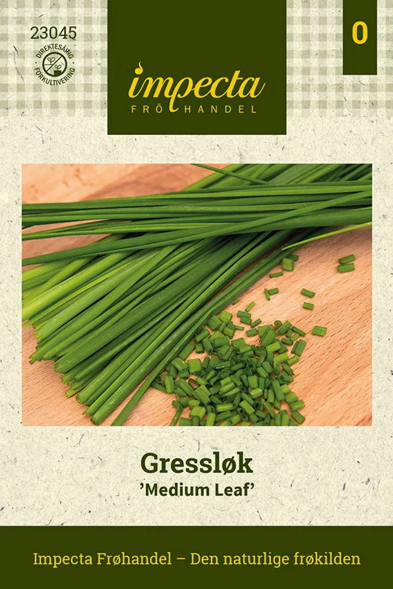 Gressløk 'Medium Leaf'