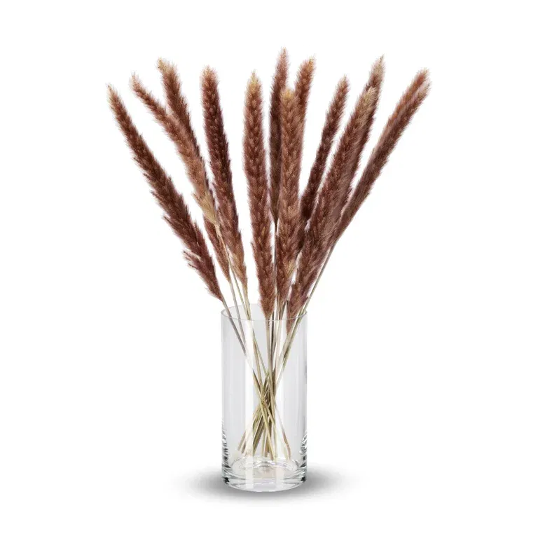 Fluffy Pampas Naturel
