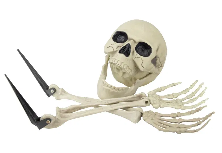 Skeleton 3pcs offwhite