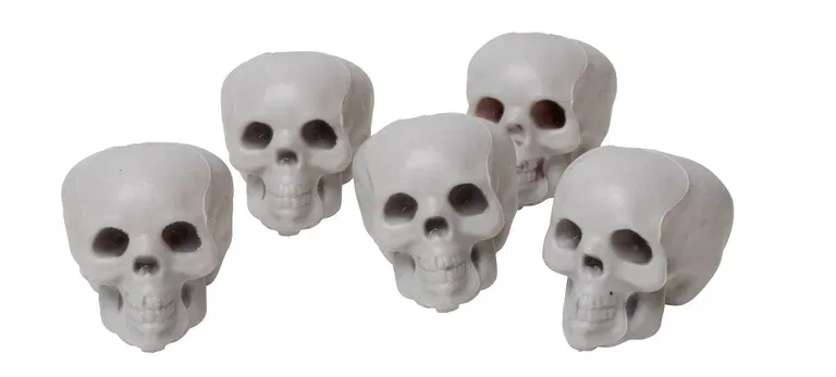 Skulls 5pcs offwhite