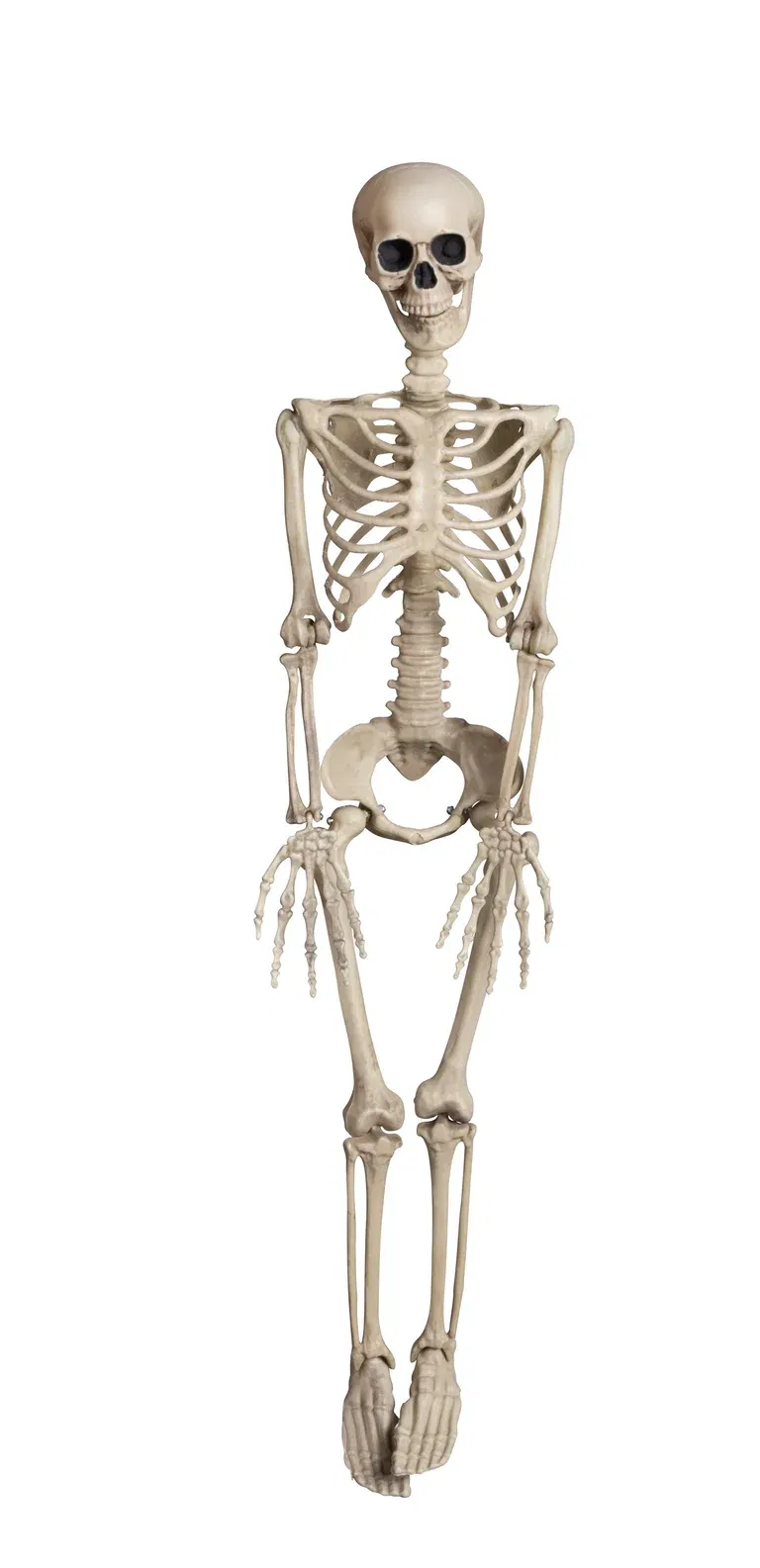 Skeleton H90 offwhite