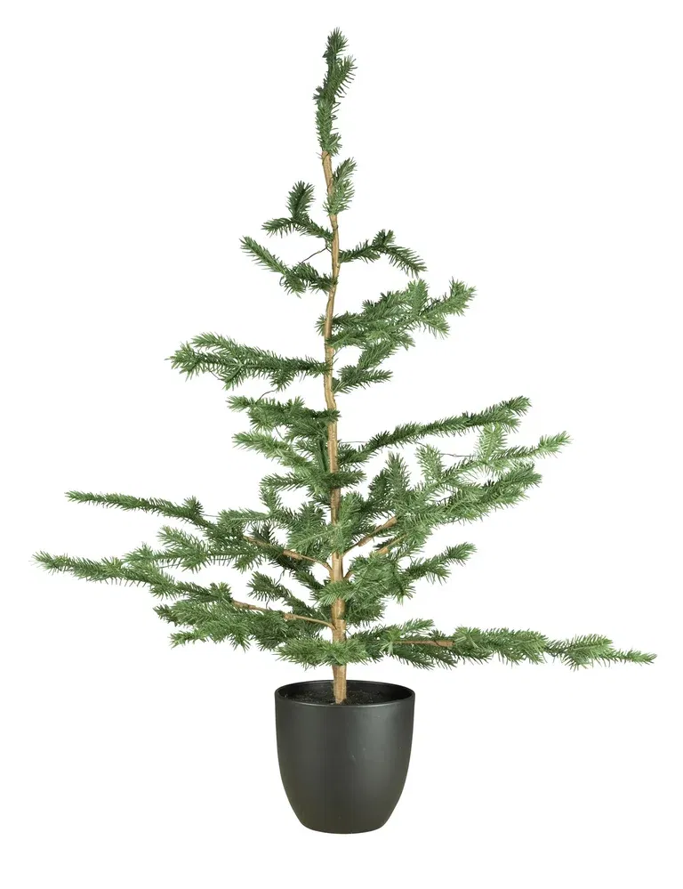 Christmas Tree with Lights