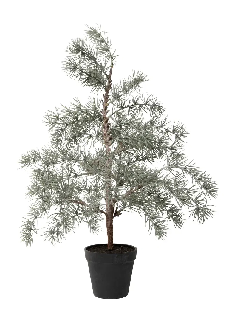 Vimsy pine tree H60 green