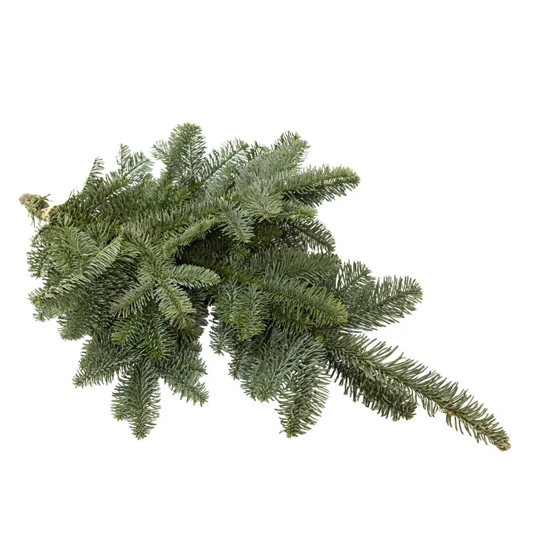 Nobilis handbouquet 400-500 gr.