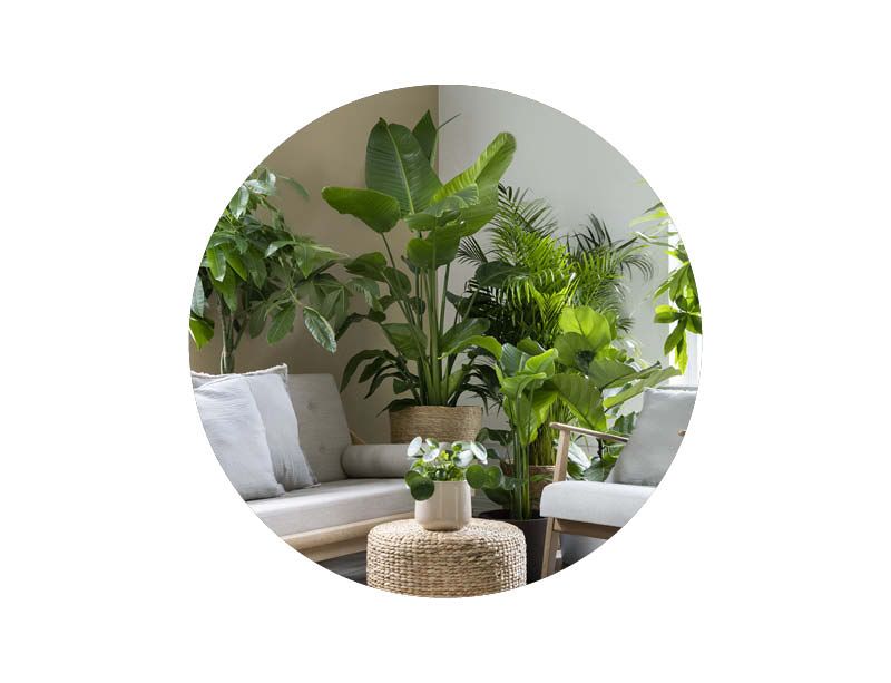 Image of Outdoor dining furniture