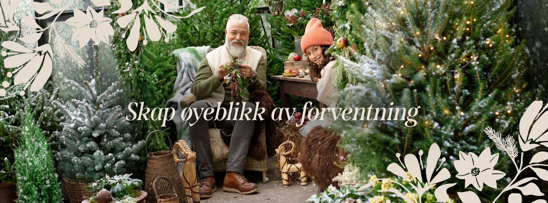 This is an image illustration of  All Mediterranean Plants – Now 30% Off!