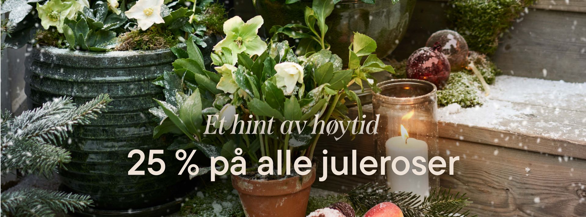 This is an image illustration of  Terracotta pots in every size and shape