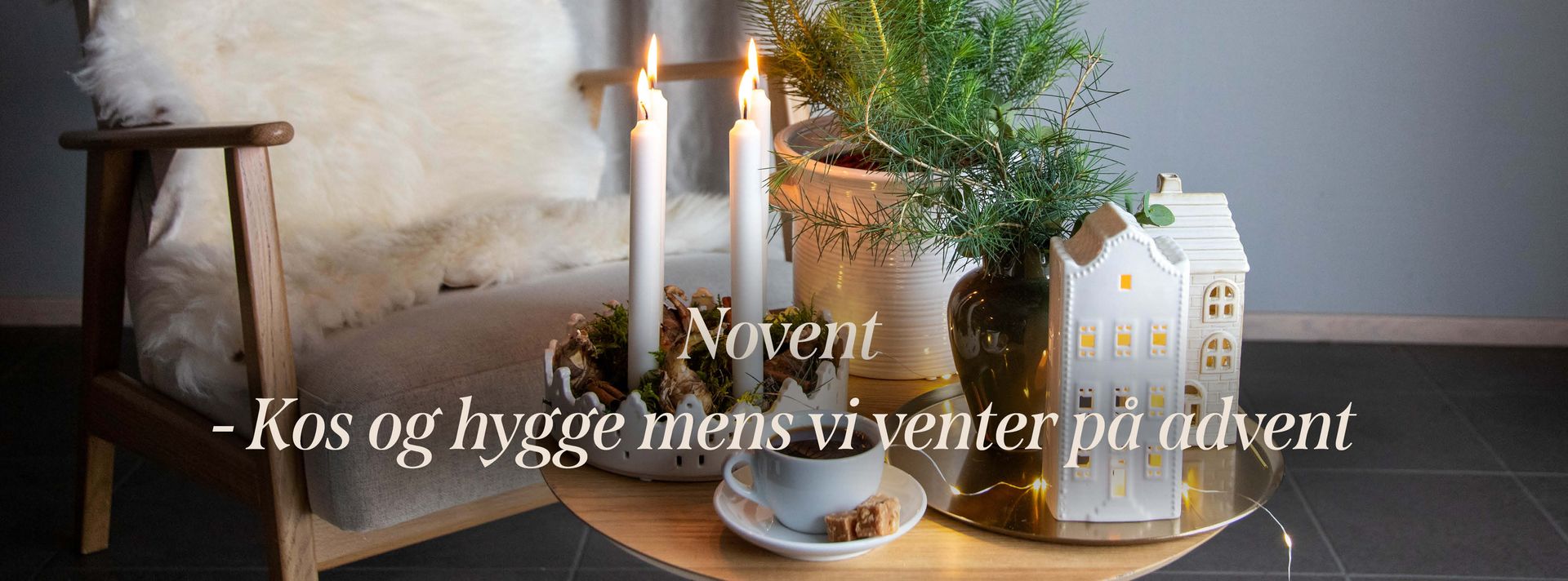 This is an image illustration of  All large perennials: 3 for the price of 2