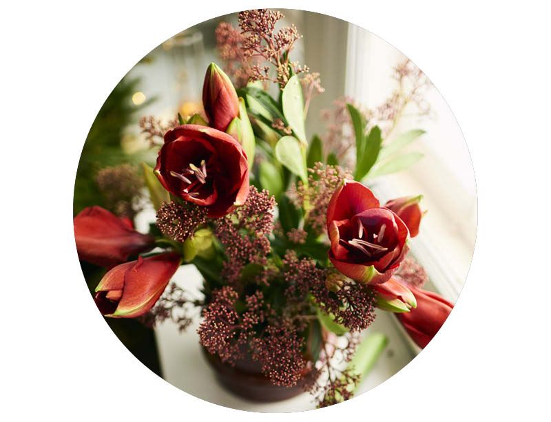 Image of Grow your own