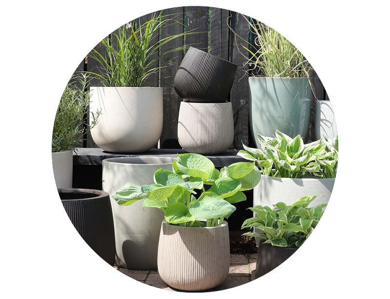 Image of Outdoor lights