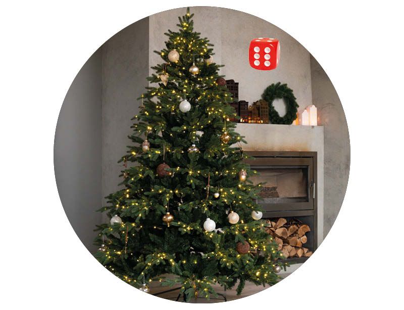 Image of Wintergreen