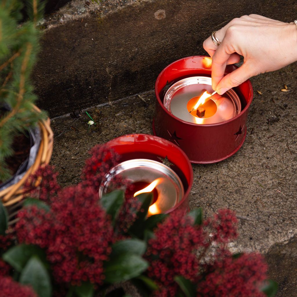 Image of Various Christmas flowers