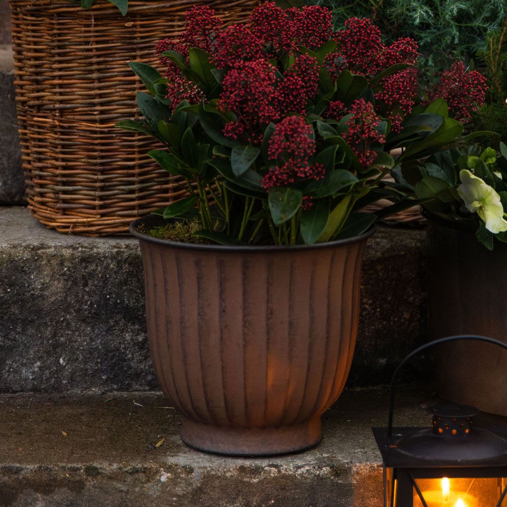 Image of Artificial Christmas flowers