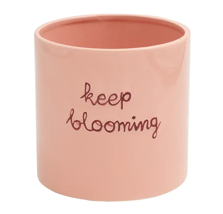 Pot Keep blooming 