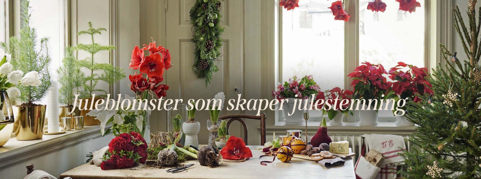 This is an image illustration of  Garden furniture – up to 40% off!