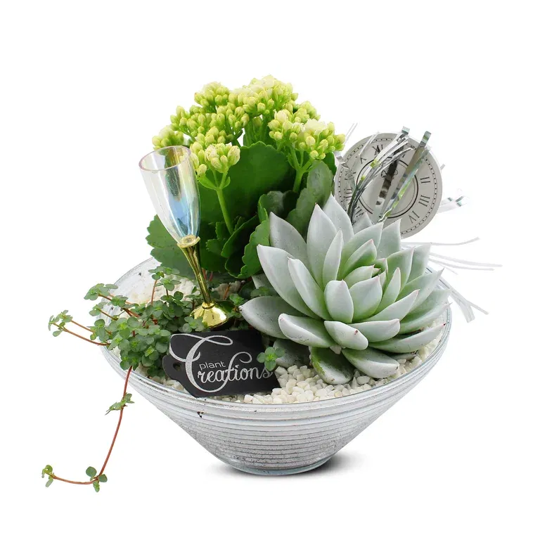 New Year dec. in white glas bowl