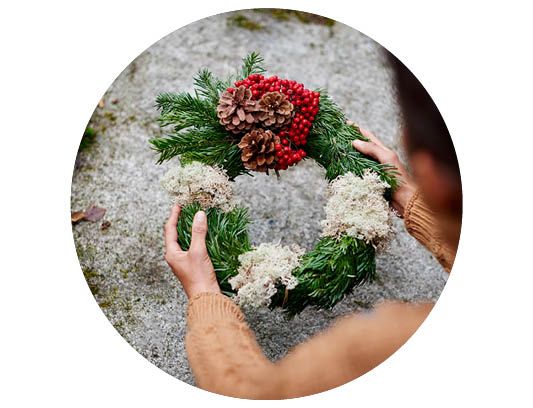 Image of Inspiration