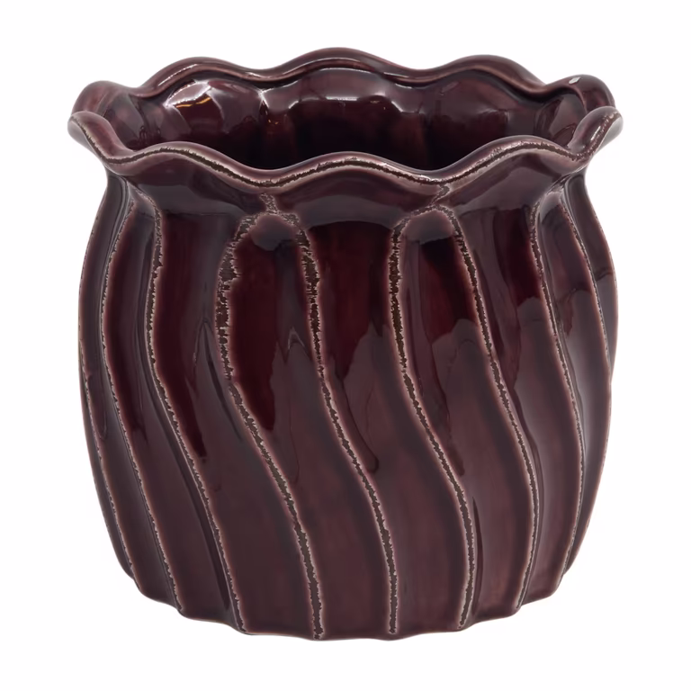 Pot Plum 